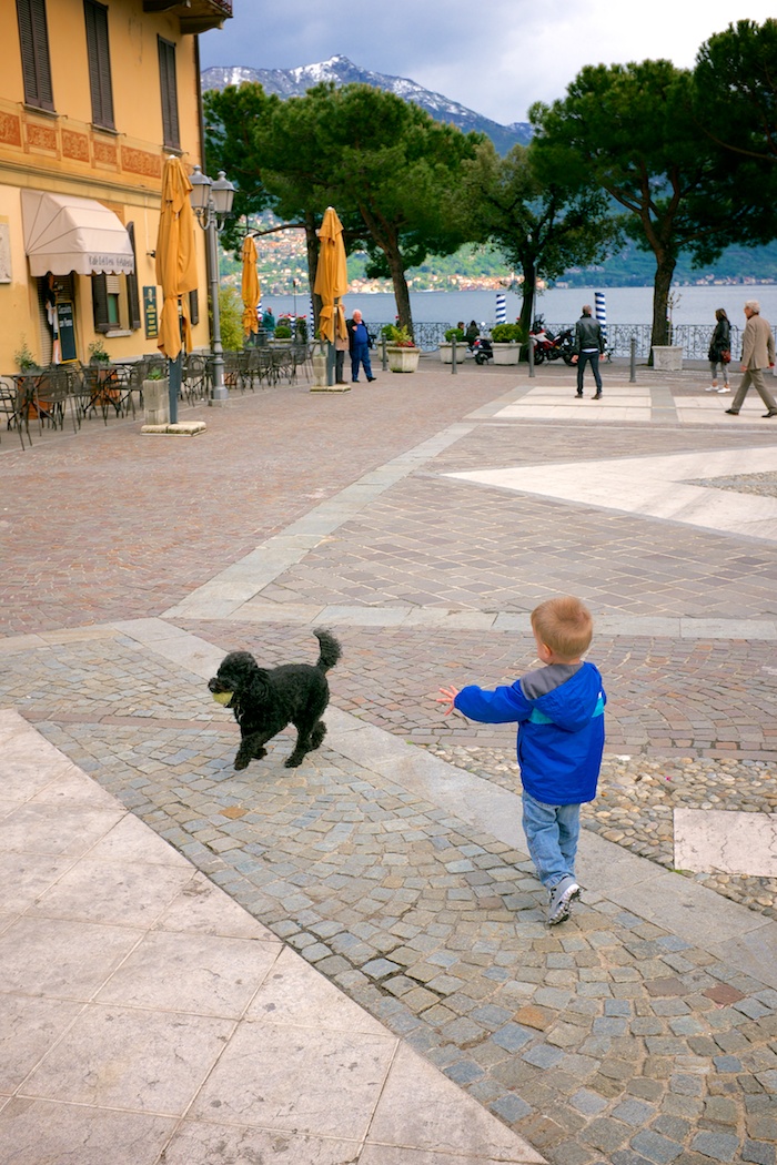 Liam playing with a dog in the piazza