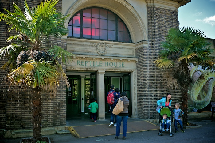 The Reptile House - As seen on Harry Potter, of course