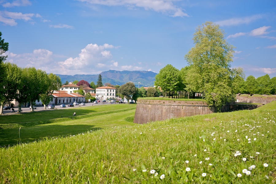 The wall, looking out