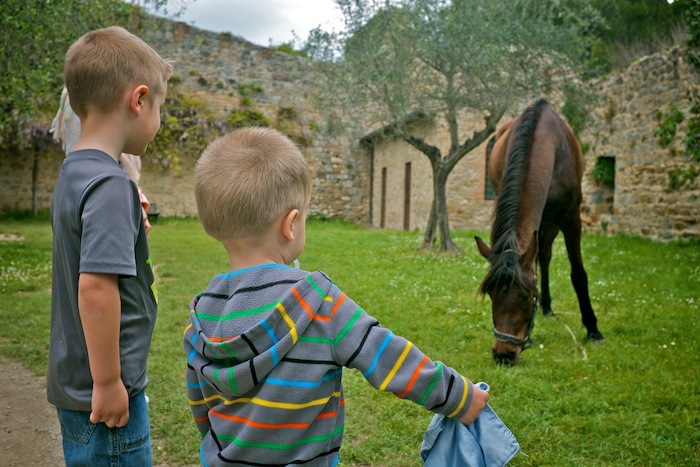 Horses!