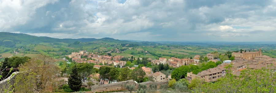 View from the tower