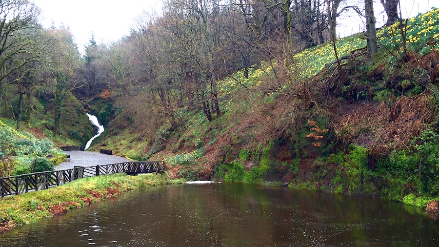 Behind the Glengoyne Distillery