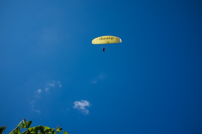 One of many paragliders